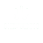 Netptech limited